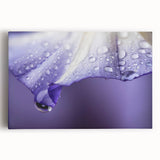 Black and white close-up photo of water droplets on a leaf printed on stretched canvas, suitable for kitchen wall art.