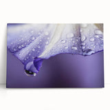 Black and white close-up photo of water droplets on glass, printed on stretched canvas.