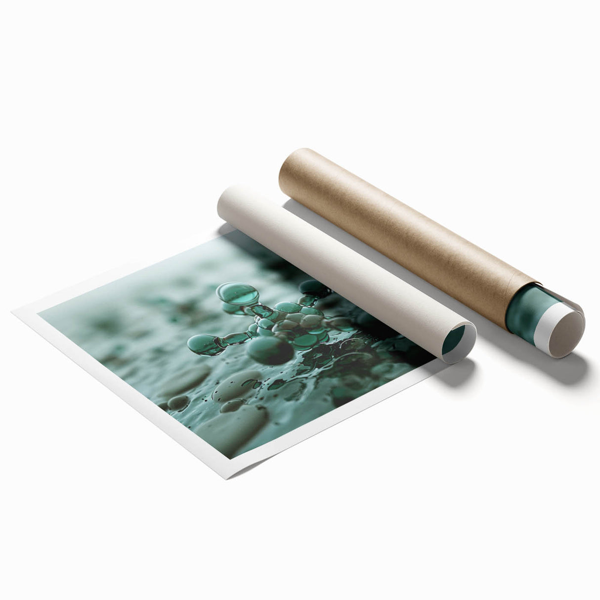 Close-up floral art on rolled print featuring soft pink and white blossoms.