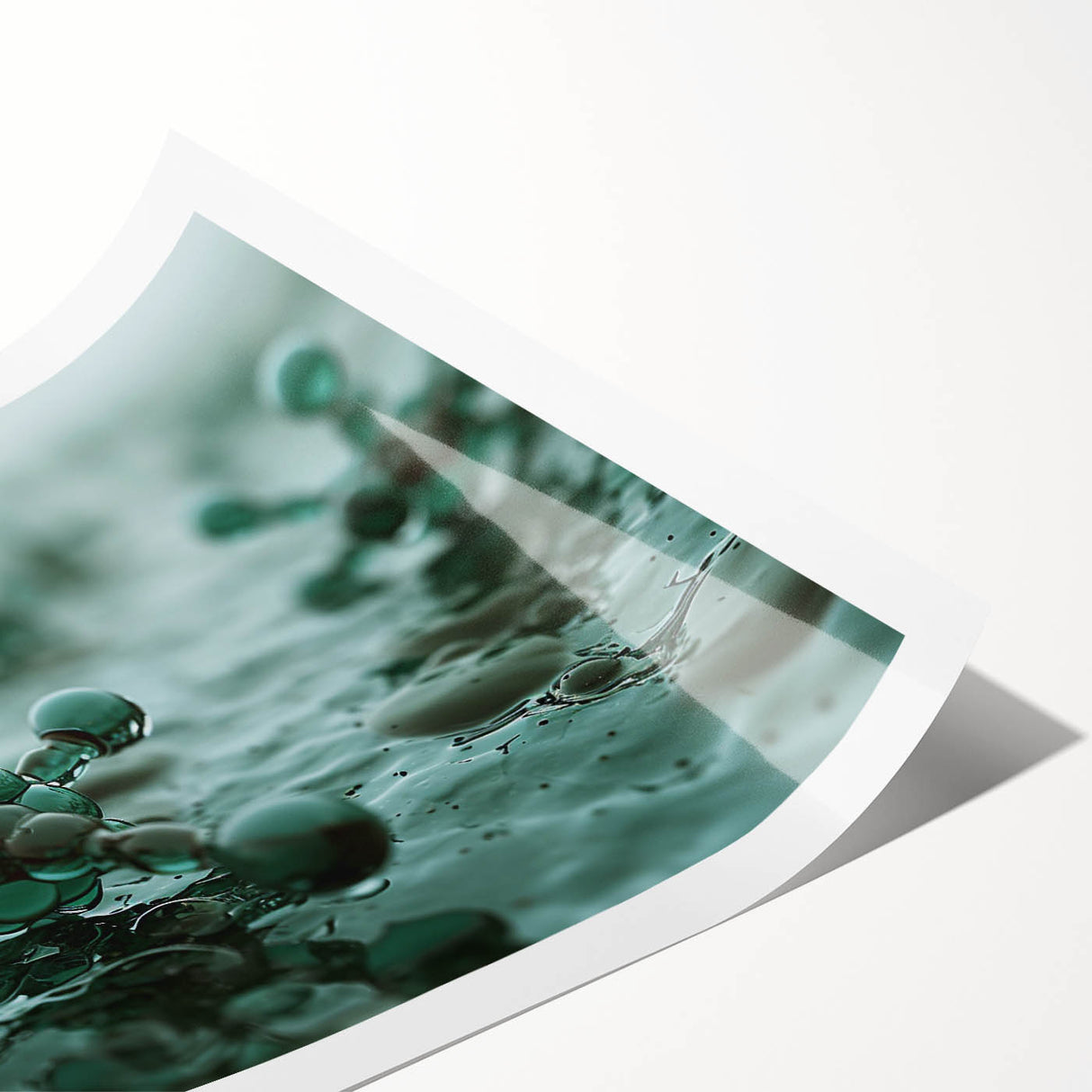 Extra large rolled print featuring line art flowers in black and white, ideal for large living room wall art.