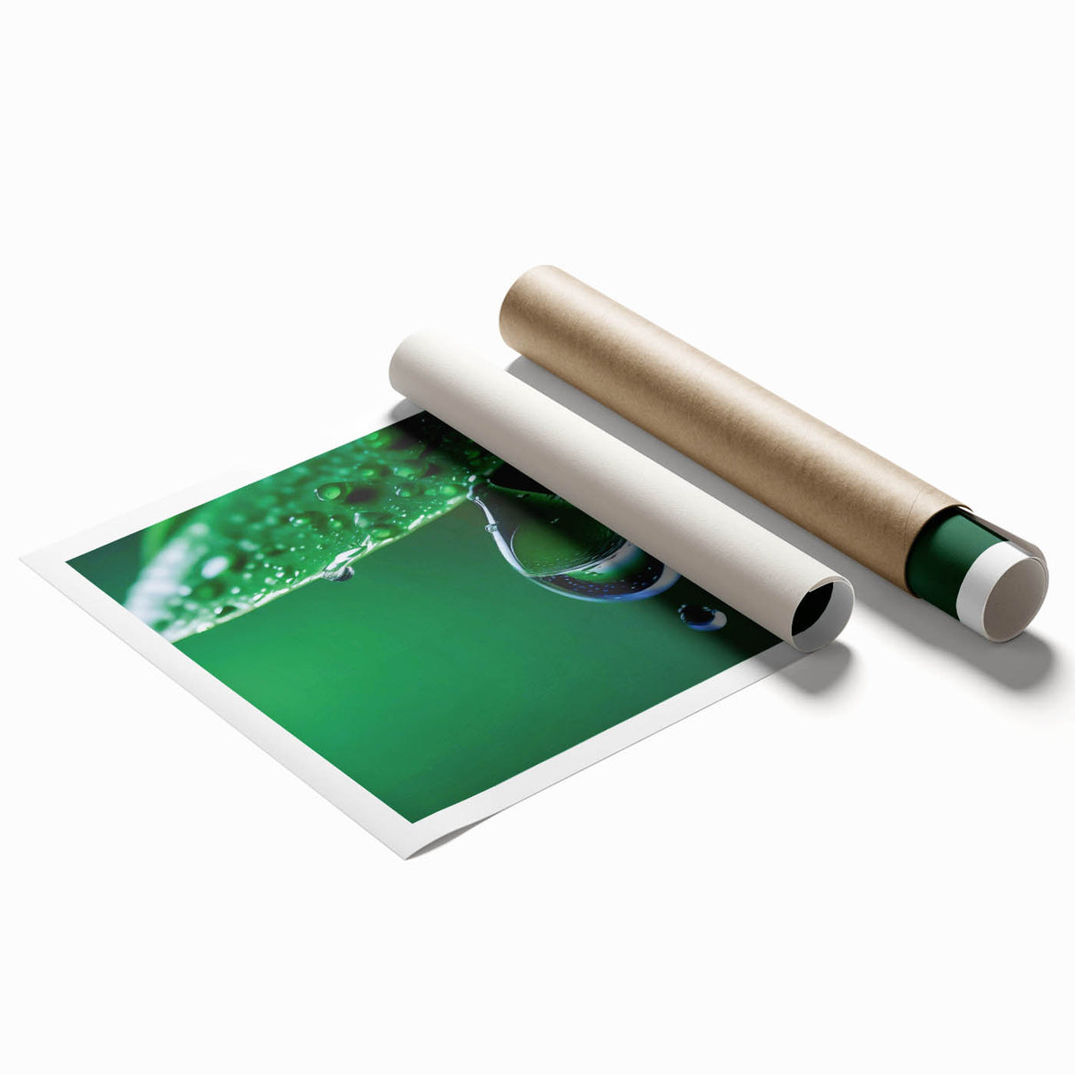 Close-up image of water droplets on vibrant green leaves, printed on rolled canvas.
