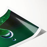 Extra large wall art of line art flowers, rendered in black on white rolled print, suitable for large living room decor.