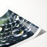 Extra large rolled print featuring line art flowers in black on a white background, suited for large living room wall art.