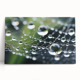 Black and white close-up photo of water droplets on canvas, ideal for kitchen wall art.