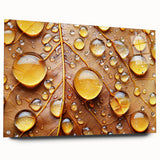 Close-up of water droplets on glass, acrylic print in cool blue tones, suitable for dining room or bedroom wall.