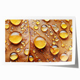 Close-up of water droplets on vibrant green leaves, extra large rolled print, ideal for dining room wall art.