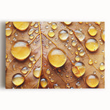 Black and white close-up photo of water droplets on a leaf on stretched canvas, suitable for kitchen wall art.