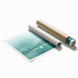 Close-up floral image in soft pink and white tones on extra large rolled canvas.