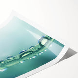 Extra large wall art featuring line art flowers in black and white, printed on rolled canvas.