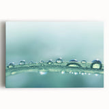Black and white close-up water droplet image on stretched canvas, ideal for kitchen wall art.