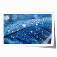 Close-up of water droplets on vibrant green leaves, extra large rolled print.