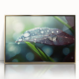 Close-up of water droplets on leaf in a gold-framed acrylic print, using soft green and blue tones.