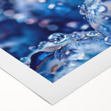 Art deco poster featuring a close-up of water droplets on leaves, in muted green and blue tones, on rolled canvas.