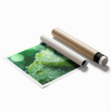 Extra large rolled print of a close-up water droplet on vibrant green leaves, ideal for classy bathroom wall art.