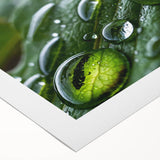 Art Deco poster featuring close-up water ripple design in muted blue tones on rolled canvas.