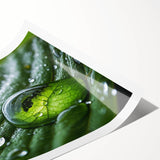 Extra large wall art featuring line art flowers in black on white, rolled print format, ideal for large living room decor.