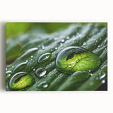 Black and white close-up water ripple photo on stretched canvas, suitable for kitchen wall art.