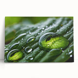 Close-up black and white water droplet photo on stretched canvas, suited for kitchen wall art or bedroom decor.