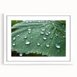 Abstract art print featuring swirling blue and teal patterns on a white framed canvas.