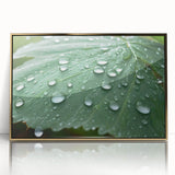 Large art print of a close-up water design in gold frame, featuring mid-century modernist style.