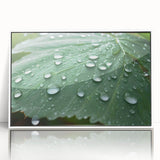 Art deco poster featuring close-up water design in soft blue and white tones on framed acrylic.