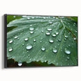 Black and white framed canvas featuring a close-up water landscape, ideal for bedroom wall decor.