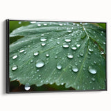 Black and white framed canvas featuring a close-up water landscape, ideal for bedroom wall decor.