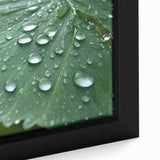Close-up of water droplets on a leaf in black framed canvas, featuring a textured, colorful design.