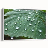 Framed canvas of a vintage poster art featuring a close-up water design in vibrant, colorful hues.