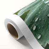 Rolled canvas featuring a close-up water design in art deco style, suitable as nursery wall art or dining room decor.