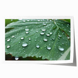 Close-up floral water design on a rolled print, featuring blue and green tones.