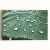 Close-up water droplet image in black and white on large stretched canvas, suitable for kitchen wall art.