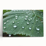 Black and white close-up water design on stretched canvas, ideal for kitchen wall art or bedroom ambiance.