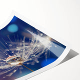 Close-up floral photography in muted blue and green tones on rolled print, suitable for large living room or bathroom decor.