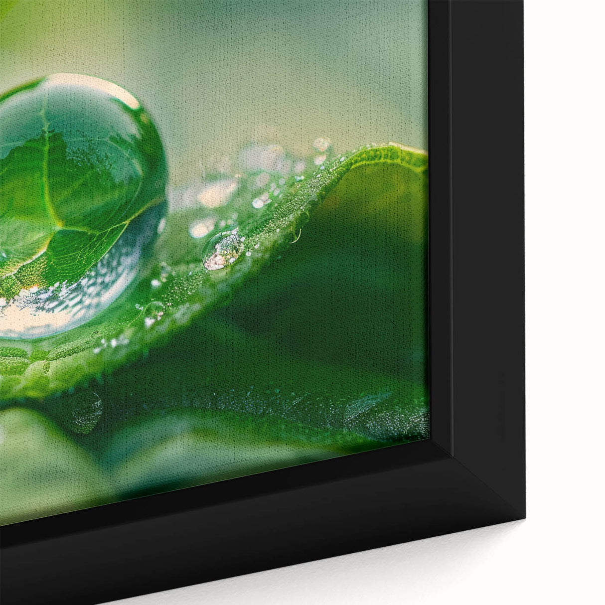 Extra large framed canvas featuring a close-up of water droplets on a black background with vibrant, textured colors.