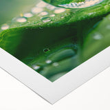 Art deco poster featuring a close-up of water droplets on a leaf, in muted green and blue tones, on rolled canvas.