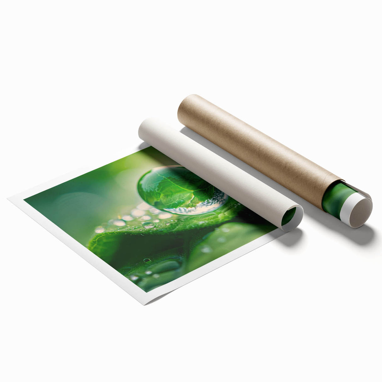 Close-up of water droplets on vibrant green leaves, extra large rolled print, suitable for classy bathroom wall art.