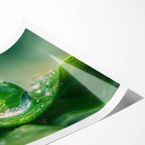 Extra large wall art featuring line art flowers in muted gray, ideal for large living room decor, rolled print format.