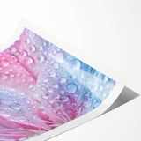 Extra large wall art featuring line art flowers in black on a white background, ideal for large living room decor.