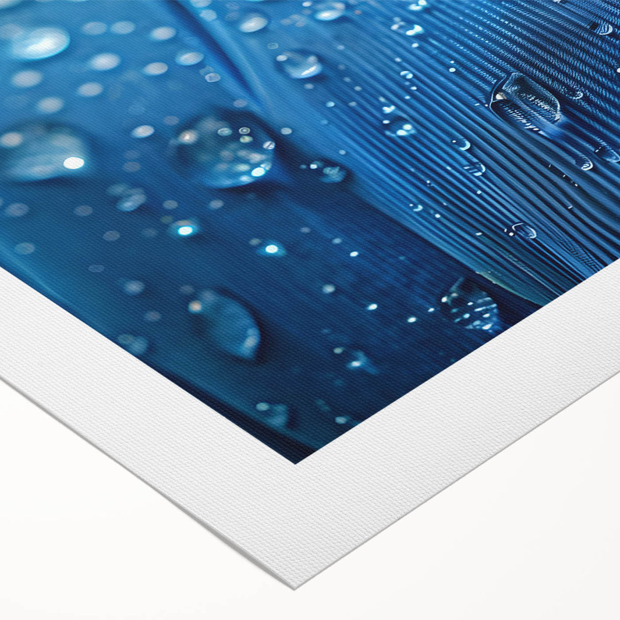 Art Deco poster featuring a close-up of water droplets on leaf, in cool blue and green tones, printed on rolled canvas.