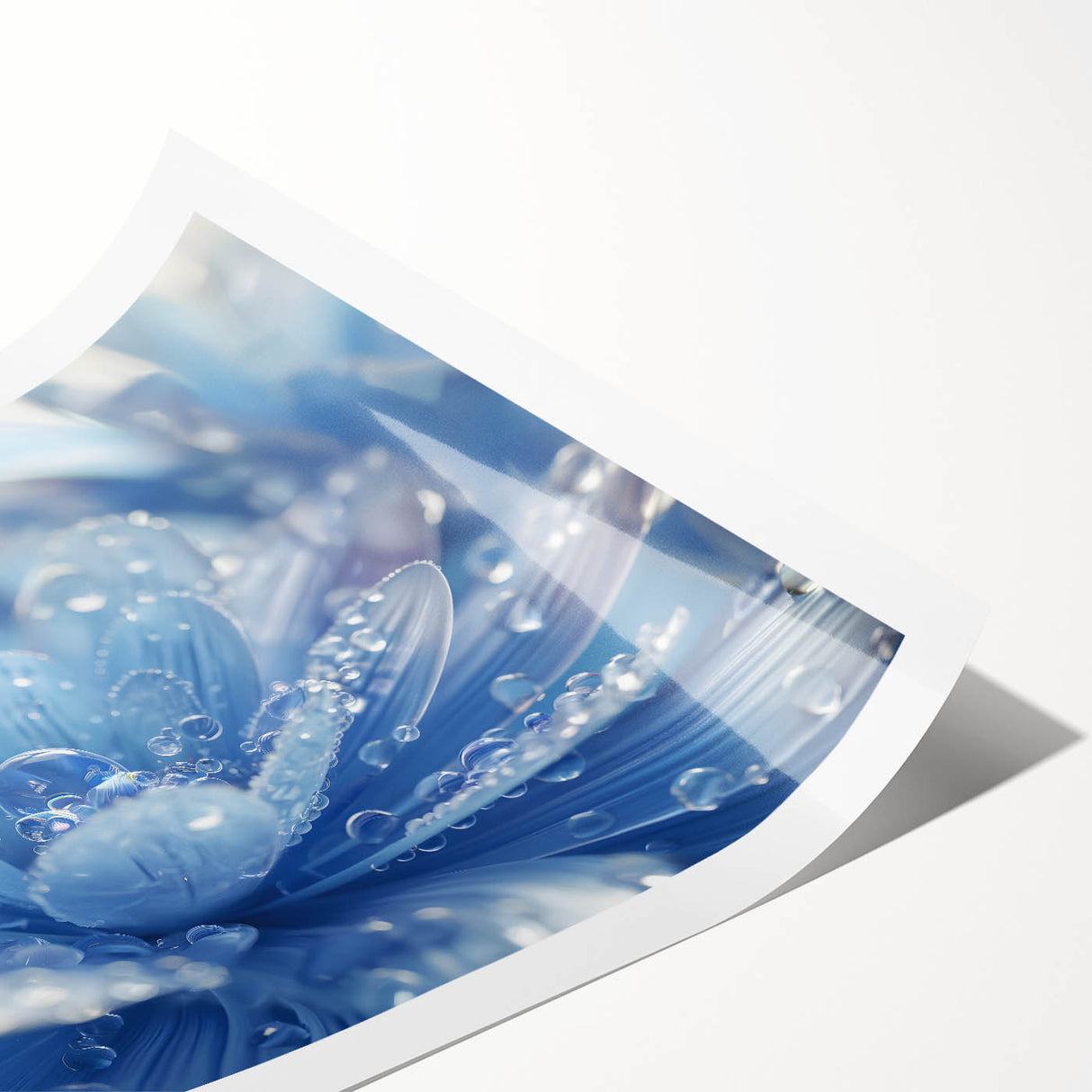 Extra large wall art featuring line art flowers in black on a white background, rolled print for large living room decor.