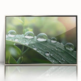 Mid-century modernist art depicting a close-up of water droplets in muted blue and silver tones, framed acrylic.