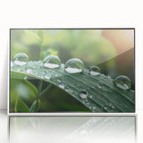 Close-up nature water design in muted blue and green hues, framed acrylic print, suitable for modern nursery decor.