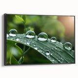 Black and white framed canvas featuring a close-up water landscape, ideal for bedroom wall decor.