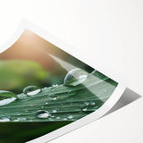 Extra large rolled print featuring line art flowers in black and white, ideal for large living room wall art.