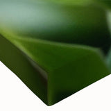 Black and white close-up landscape painting on stretched canvas, ideal for bedroom wall art.