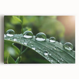 Black and white close-up water design on large stretched canvas, suitable for kitchen wall art.