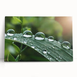 Black and white close-up water ripple photo on stretched canvas, ideal for kitchen wall art or bedroom ambiance.