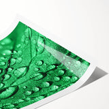 Extra large rolled print depicting line art flowers in monochrome, ideal for large living room wall art.