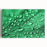Black and white close-up photo of water droplets on canvas, ideal for kitchen wall art.